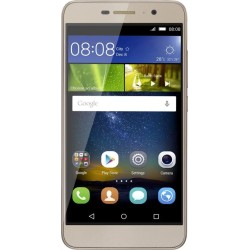 Honor Holly 2 Plus (Gold, 16 GB)  (2 GB RAM)